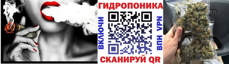 купить OMG сайт Шишки марихуана SATIVA & INDICA Полесск